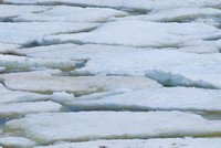 Hudson Bay Ice