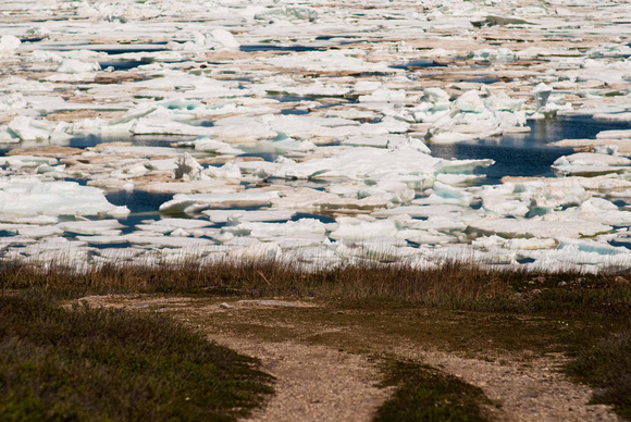 Ice on Hudson Bay