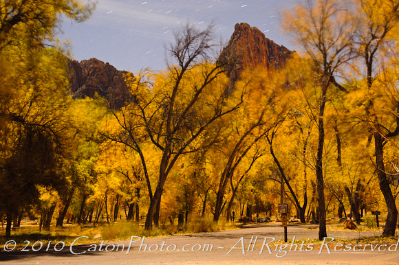 Nighttime image of cottonwood trees and The Watchman at Zion National Park